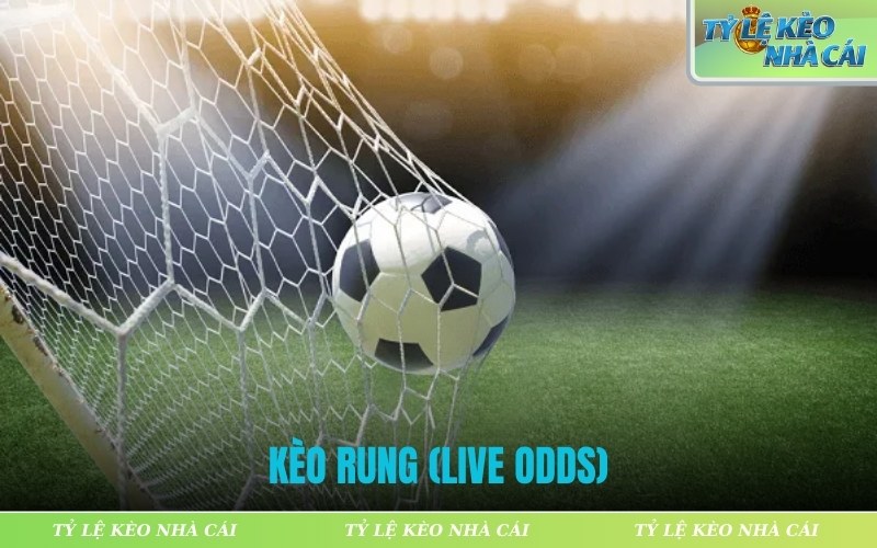 Kèo rung (Live odds)