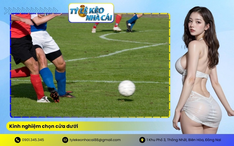 Kinh nghiệm chọn cửa dưới